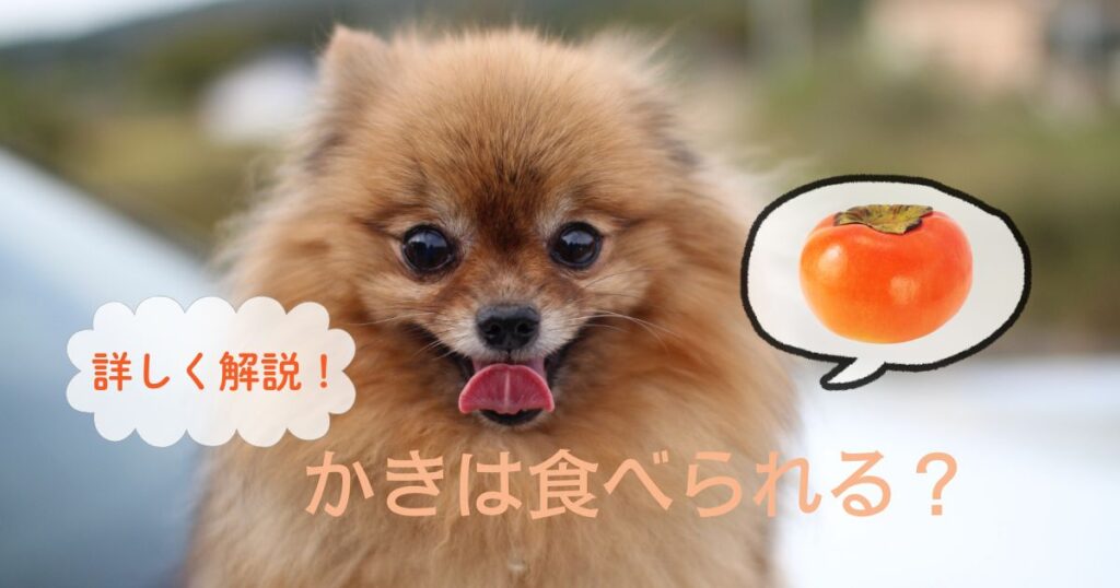 【食の専門家解説】犬は柿を食べられる！渋柿は？嘔吐・下痢の原因、注意点を紹介！