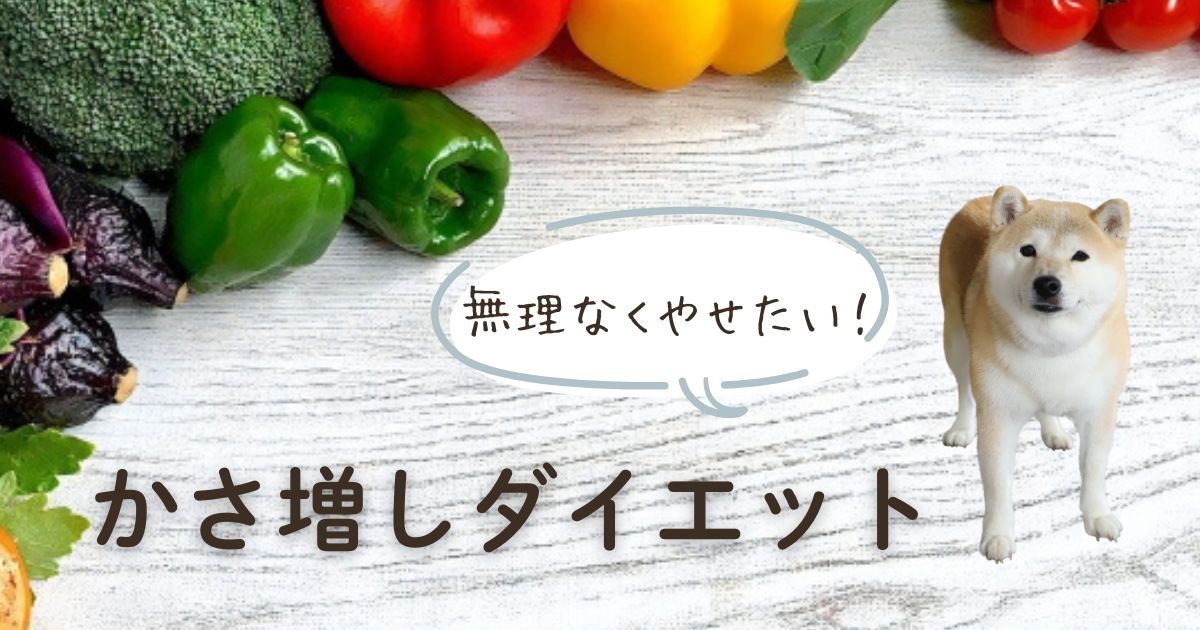 犬のかさ増しダイエットで食事管理を考えるイメージ画像
