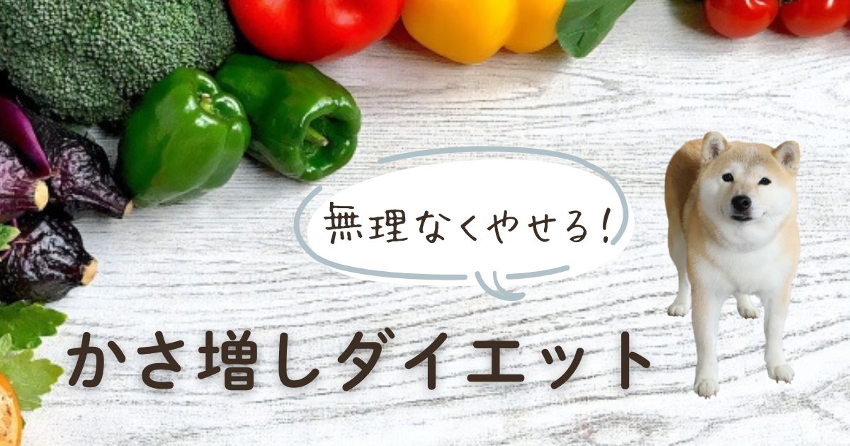 【食の専門家解説】犬のかさ増しダイエット！無理なくやせる方法とおすすめの食材を紹介！