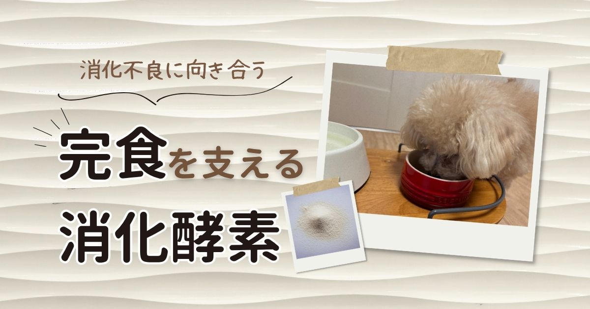 犬の消化酵素サプリで変化を実感！食が細い愛犬が毎日完食できるようになった経緯