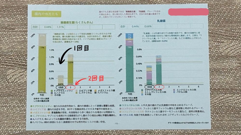 犬の腸内細菌検査1回目と2回目の比較結果。2回目で増えていた酪酸菌と乳酸菌の数値。