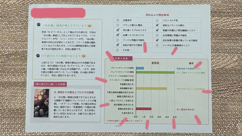 犬の腸内細菌検査2回目の総括。現状と対策。