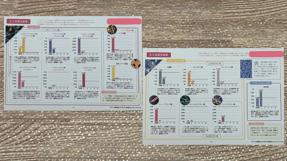 犬の腸内細菌検査1回目と2回目の比較結果。病原性細菌の比較データ。