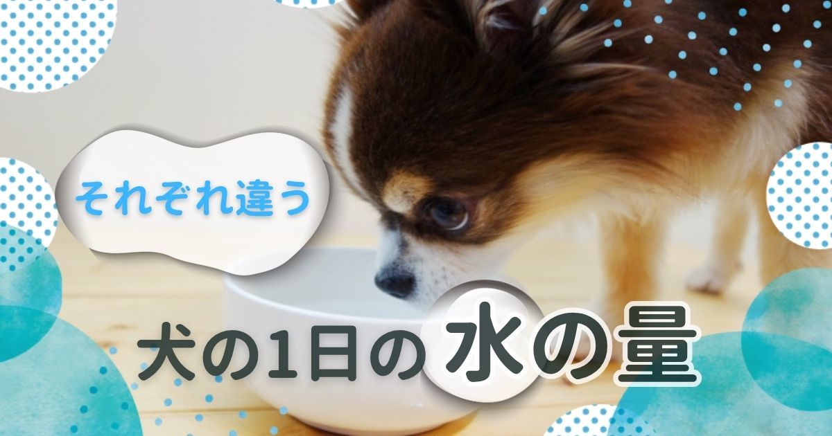 ブログ記事のアイキャッチ画像。白の背景に、水玉模様や水彩風のグラフィックが配され、中央には犬が白い器に入った水を飲もうと覗き込んでいる。左上の白い波型シェイプには青色の文字で「それぞれ違う」と書かれ、下部には大きな黒色の文字で「犬の1日の」と書かれている。その右隣の丸い水滴風シェイプの中に黒色の文字で「水の量」と記載されている。全体で記事タイトルの要約「それぞれ違う犬の1日の水の量」というテキストが表現されている。