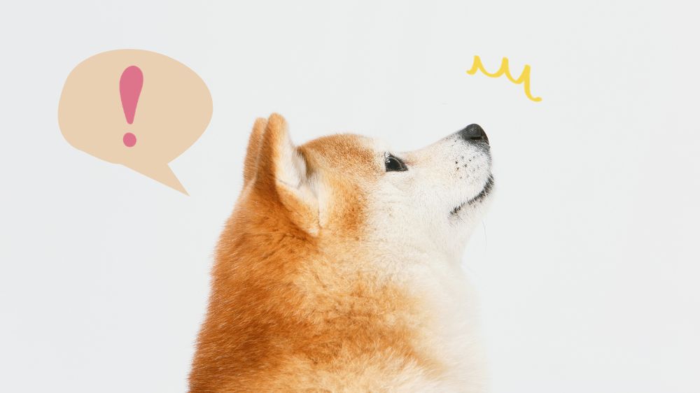 「!」の吹き出しと犬