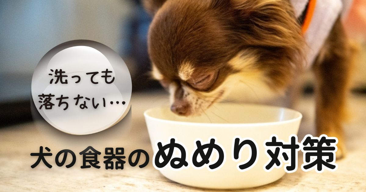 ブログ記事のアイキャッチ画像。 犬が床に置かれた白いフードボウルに顔を近づけている様子が写っている。 画像左上には、丸い水滴風シェイプの中に「洗っても落ちない…」というテキスト。 画像下部には、大きく「犬の食器のぬめり対策」というテキストが書いてある。